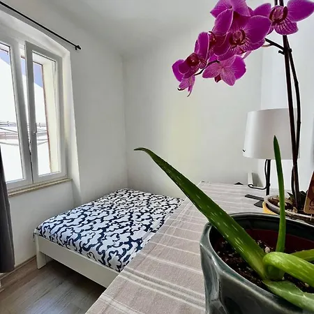 Apartment Juric *
